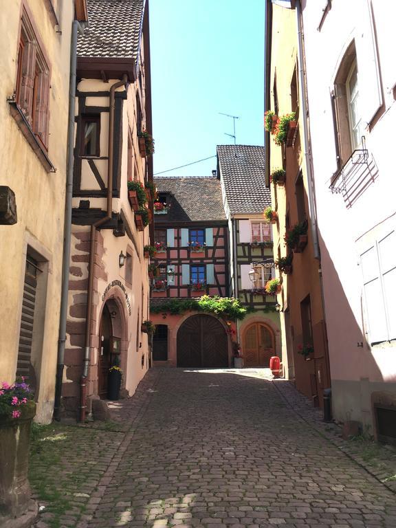Appartement Le P'retzel&Le Sticksy à Riquewihr Extérieur photo